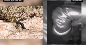 DNA de luva do caso Guthrie não apresenta correspondência em banco de dados